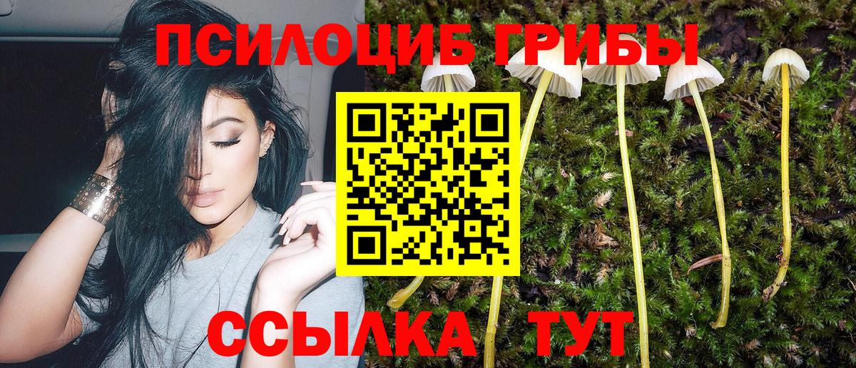 Псилоцибиновые грибы Cubensis  Вход с VPN  Галлюциногенные грибы GOLDEN TEACHER  Мичуринск 